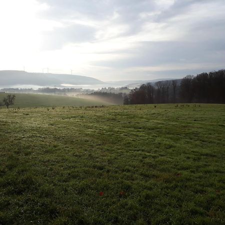 Vila Ellernhof Im Spessart Stadtprozelten Exteriér fotografie